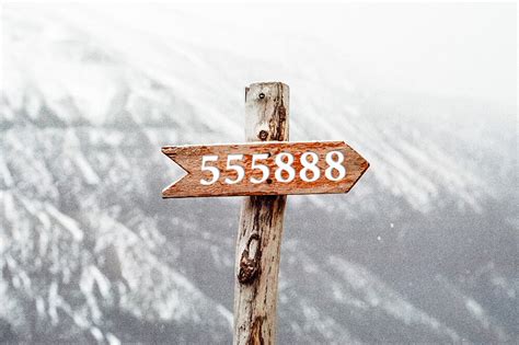 555 and 888